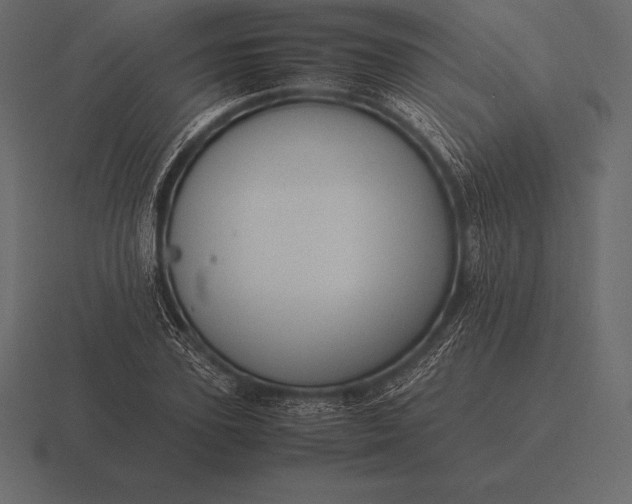 X0000116560931200912241612