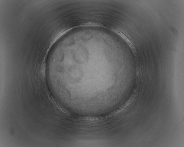 X0000116560933200912241612