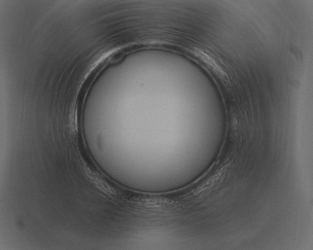 X0000116560934200912241612