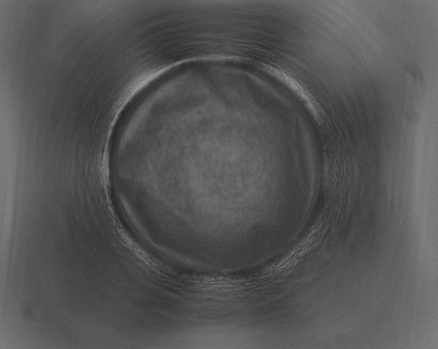 X0000116560935200912241612