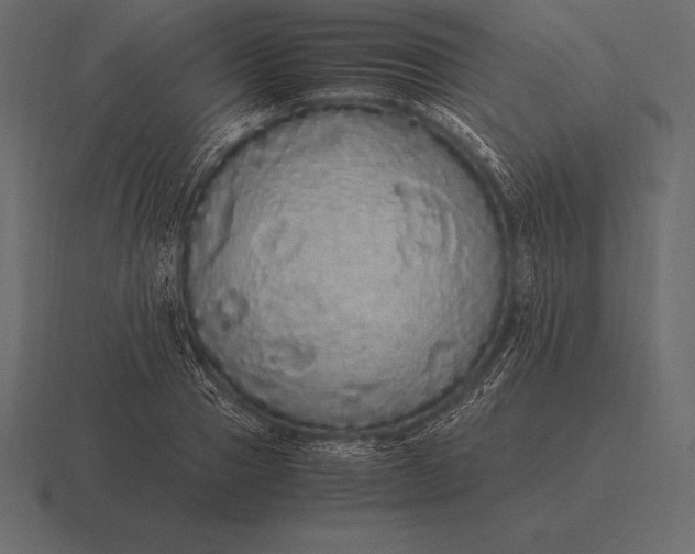 X0000116560937200912241612