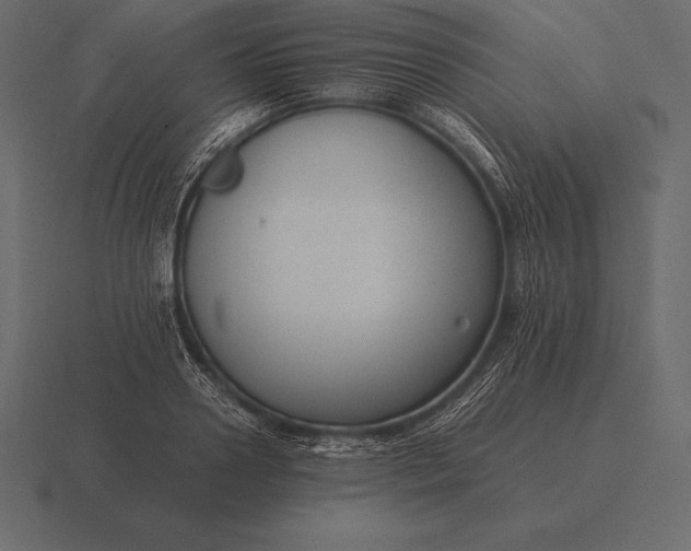 X0000116560938200912241612