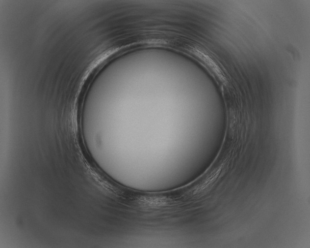 X0000116560939200912241612