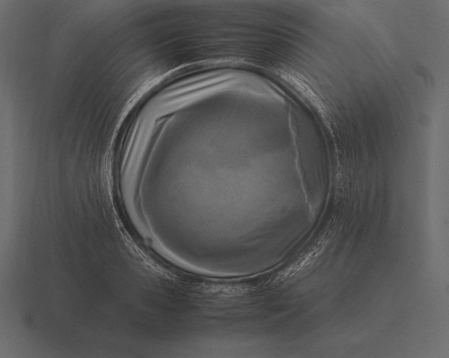 X0000116560941200912241612