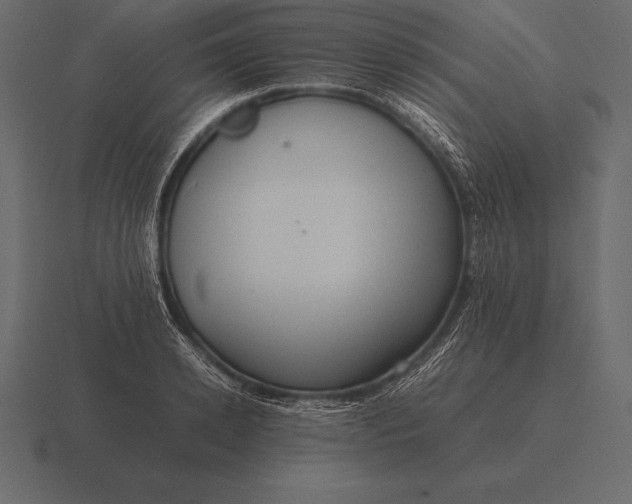 X0000116560942200912241612