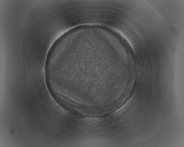 X0000116560943200912241612