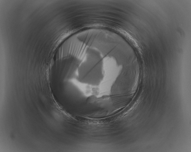 X0000116560945200912241612