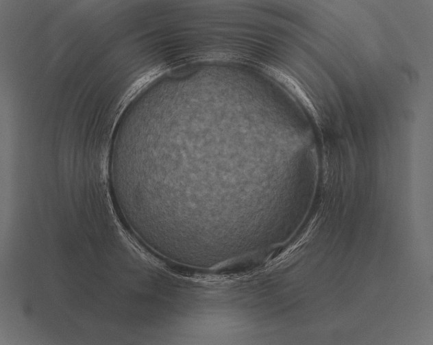 X0000116560946200912241612