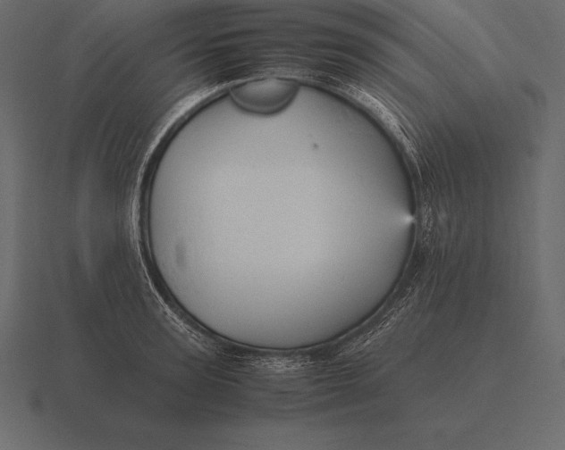 X0000116560947200912241612