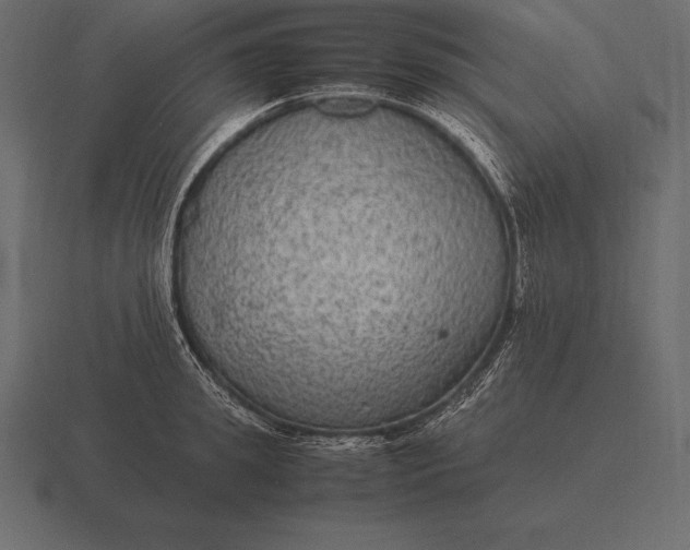 X0000116560949200912241612