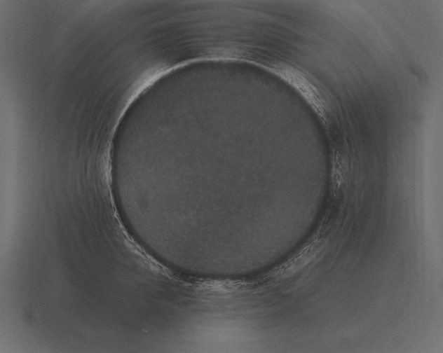 X0000116560950200912241612