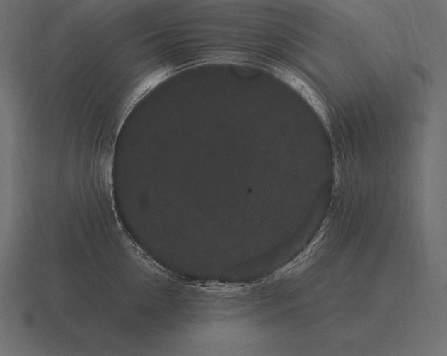 X0000116560954200912241612