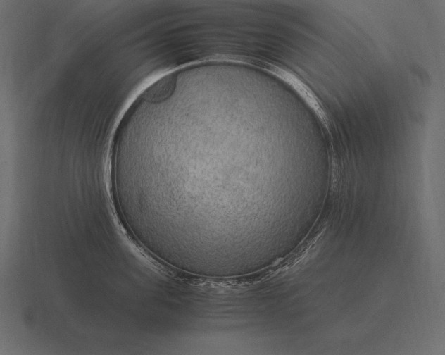 X0000116560955200912241612