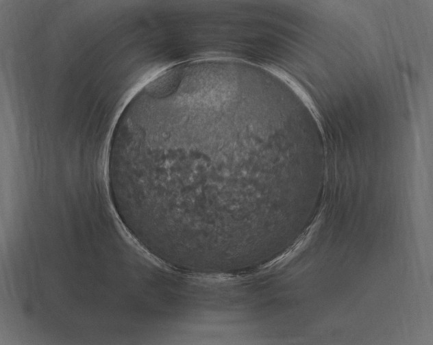 X0000116560957200912241612