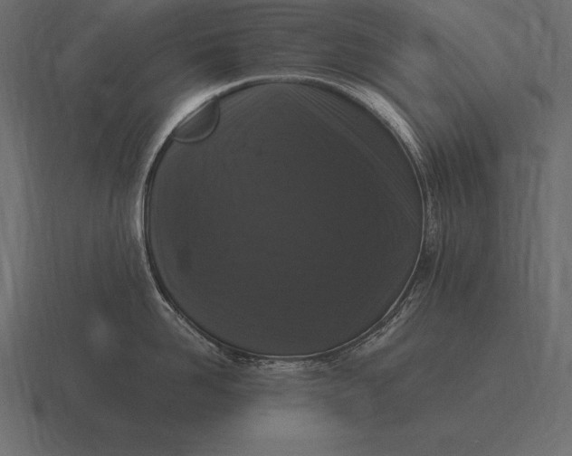 X0000116560958200912241612