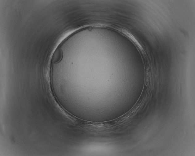 X0000116560959200912241612