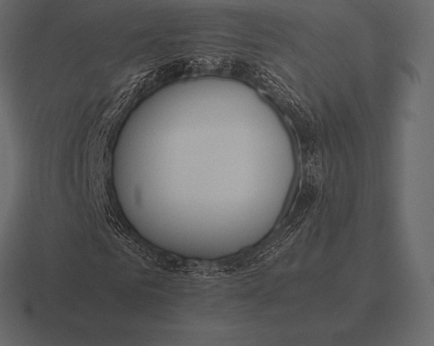 X0000116560961200912241612