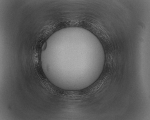 X0000116560962200912241611