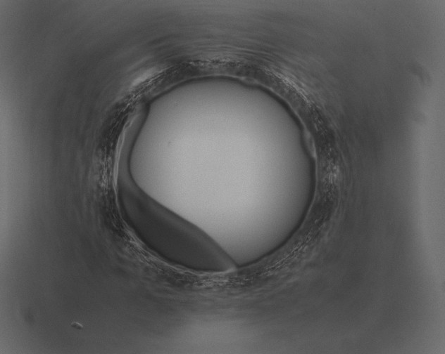 X0000116560965200912241611