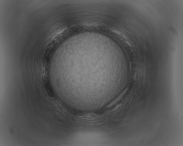 X0000116560966200912241611