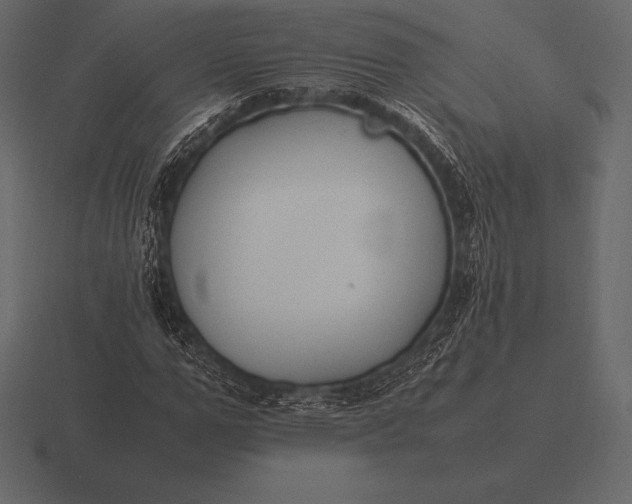 X0000116560967200912241611