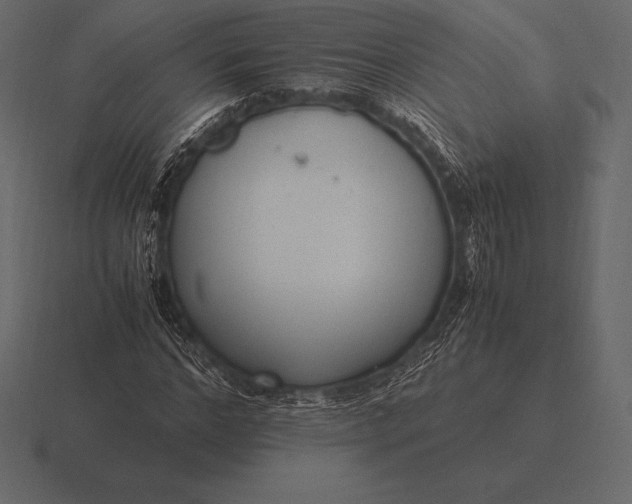 X0000116560968200912241611