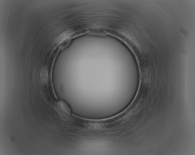 X0000116560969200912241611