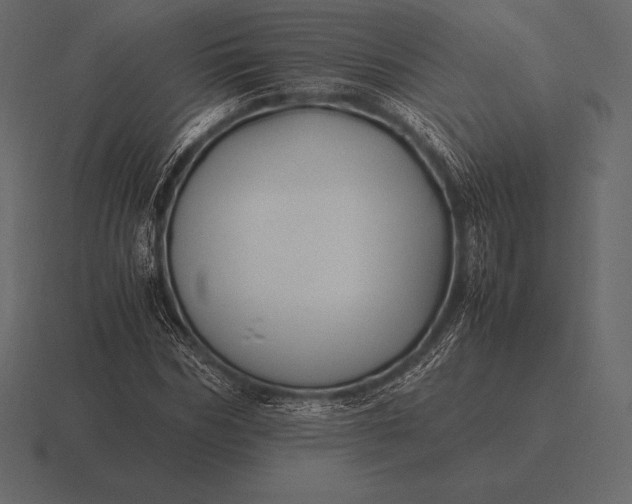 X0000116560970200912241611