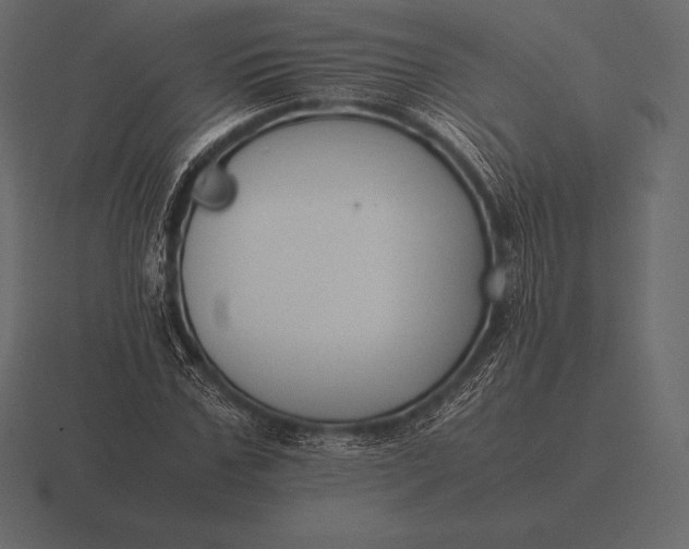 X0000116560971200912241611