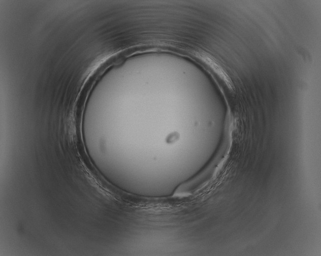 X0000116560972200912241611