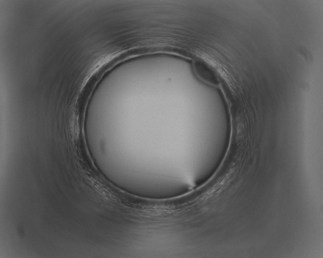 X0000116560973200912241611