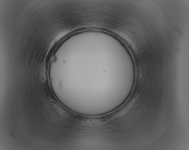 X0000116560974200912241611