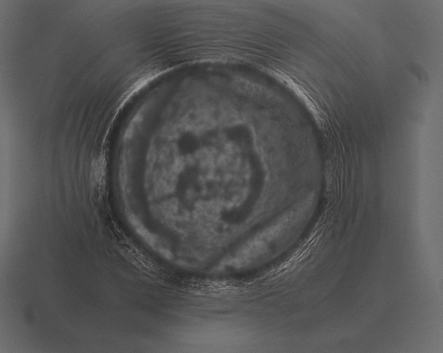 X0000116560975200912241611