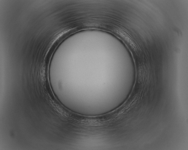 X0000116560976200912241611