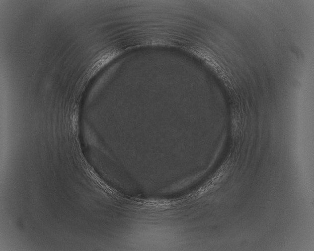 X0000116560977200912241611