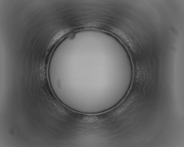 X0000116560978200912241611