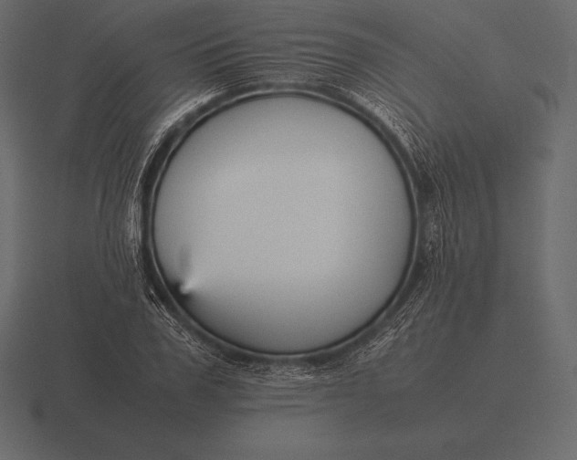 X0000116560979200912241611