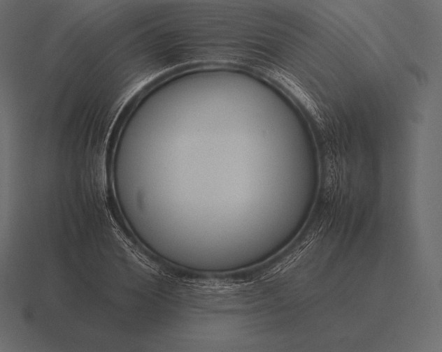 X0000116560980200912241611