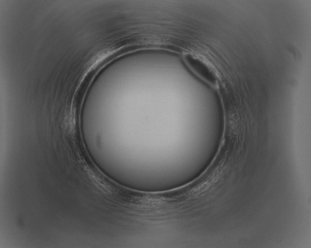 X0000116560981200912241611