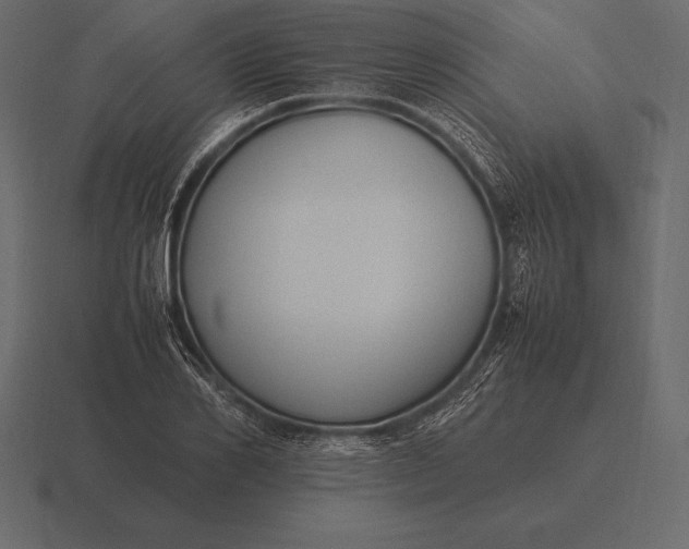 X0000116560982200912241611