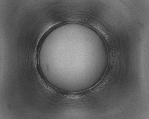 X0000116560984200912241611