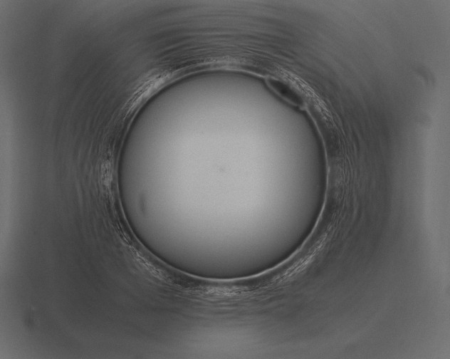 X0000116560985200912241611