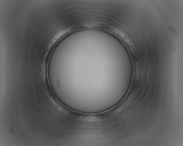 X0000116560986200912241611