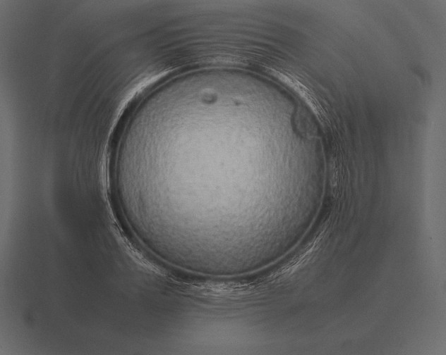 X0000116560987200912241611