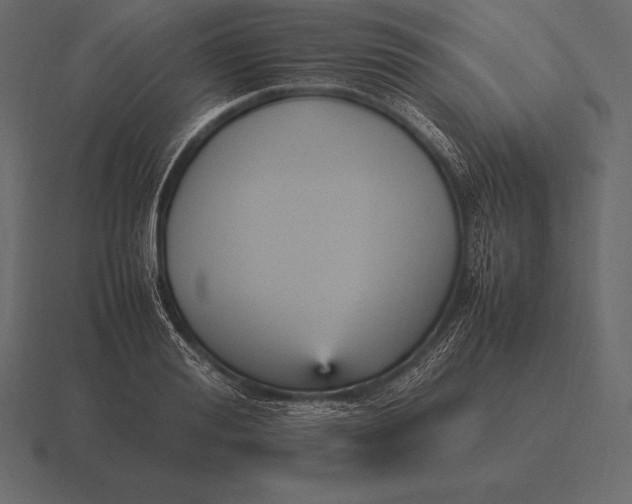 X0000116560988200912241611