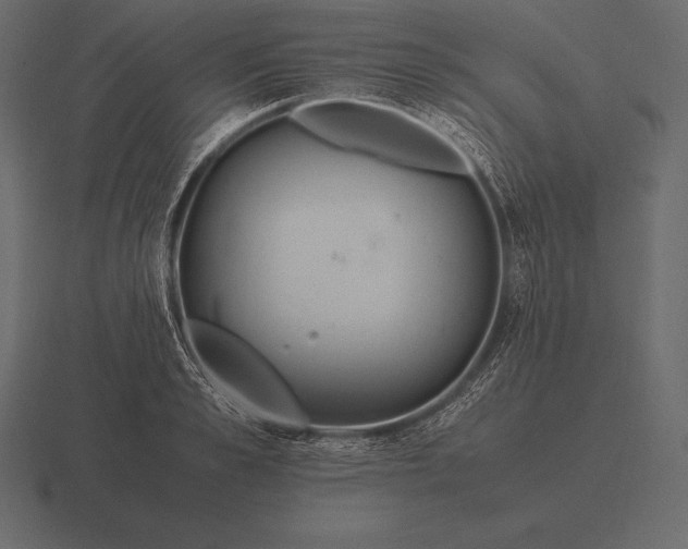 X0000116560989200912241611