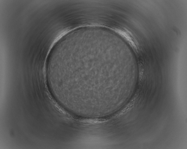 X0000116560990200912241611