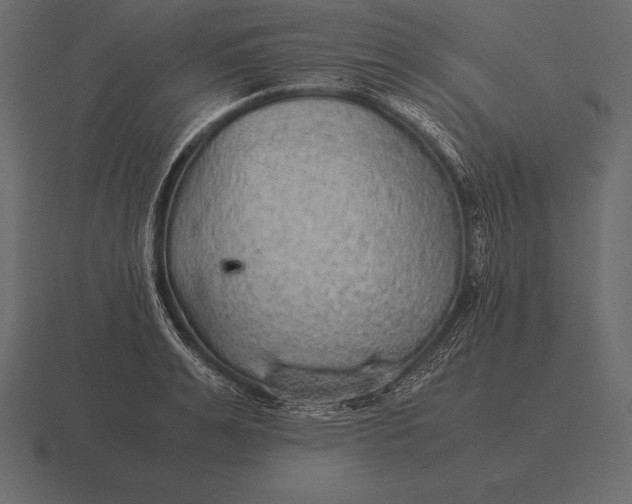 X0000116560991200912241611