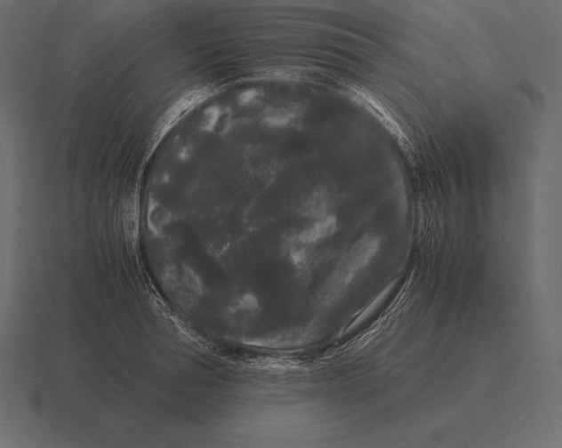 X0000116560994200912241611