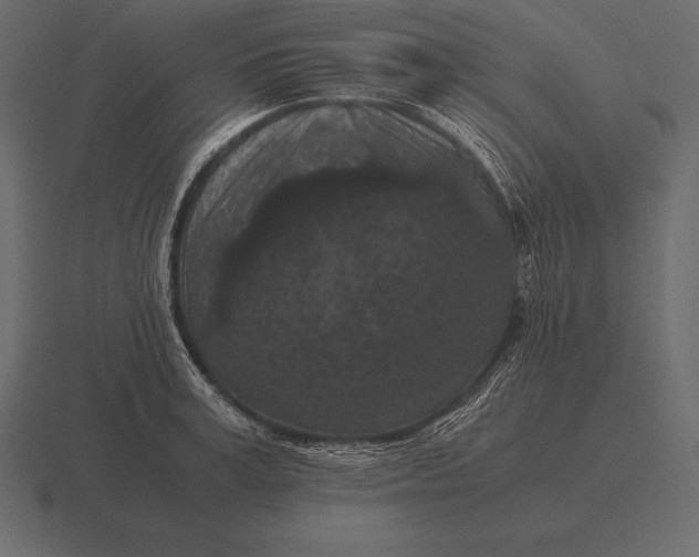 X0000116560995200912241611